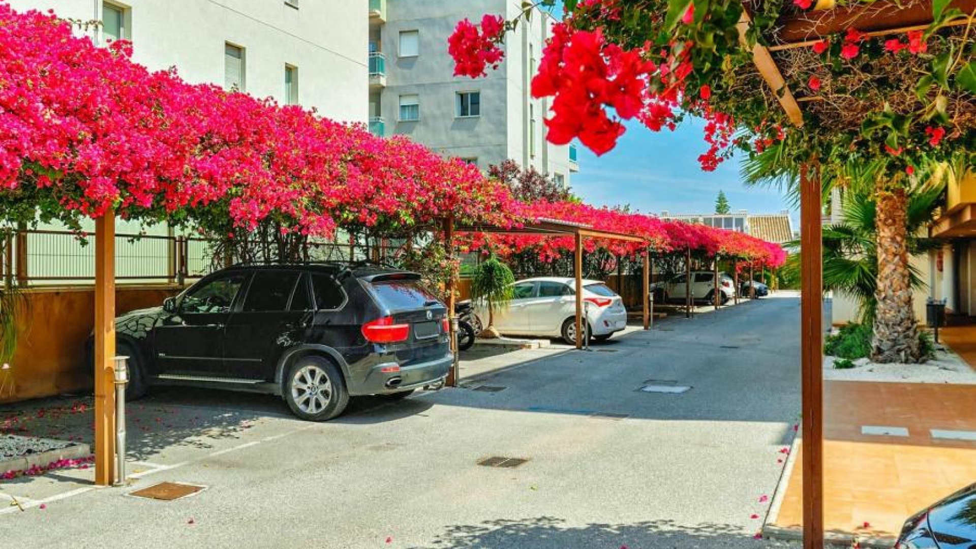 Återförsäljning - Lägenhet - Cabo Roig - beachside cabo roig