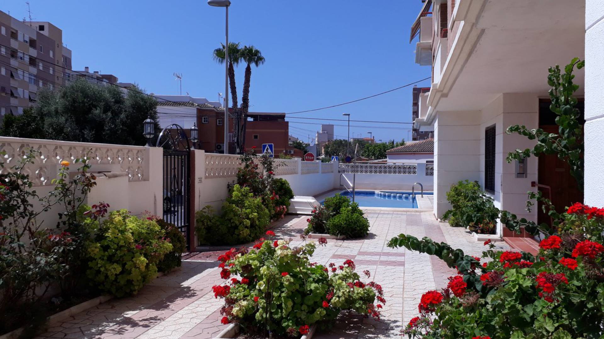 Återförsäljning - Lägenhet - Torrevieja - Nueva Torrevieja