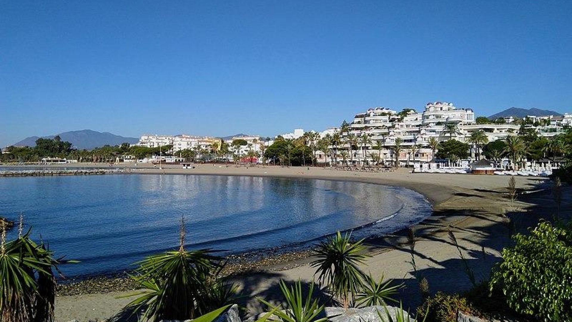 New Build - Apartment - Marbella - Nueva Andalucia