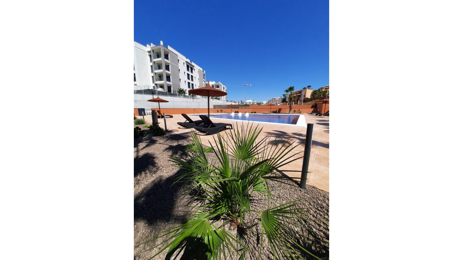 Nieuw gebouw - Appartement - Villamartin - Res. Palapa Golf