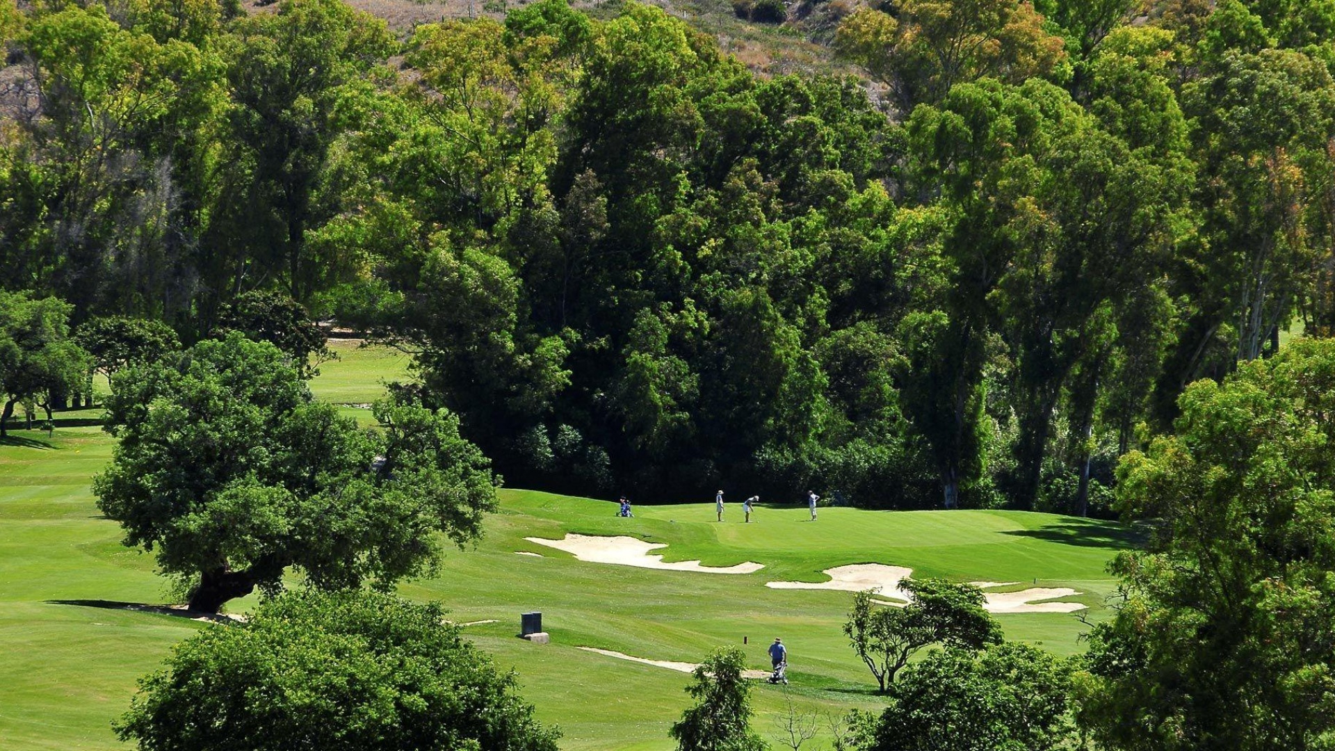 Nieuw gebouw - Villa - Mijas - Mijas Golf