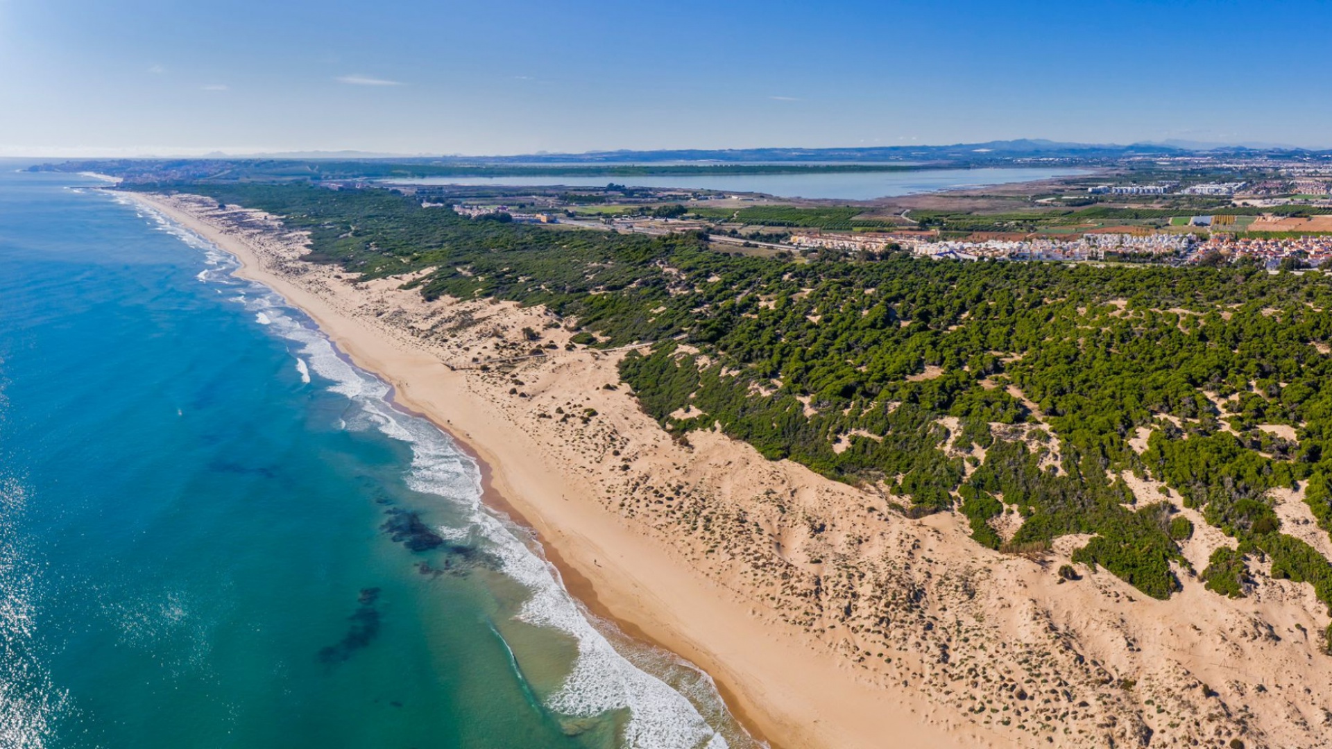 Nouvelle construction - Villa - Guardamar del Segura - playa del moncayo