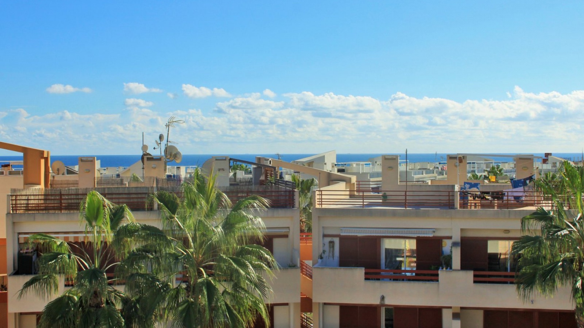 Resale - Apartment - Playa Flamenca - el rincon