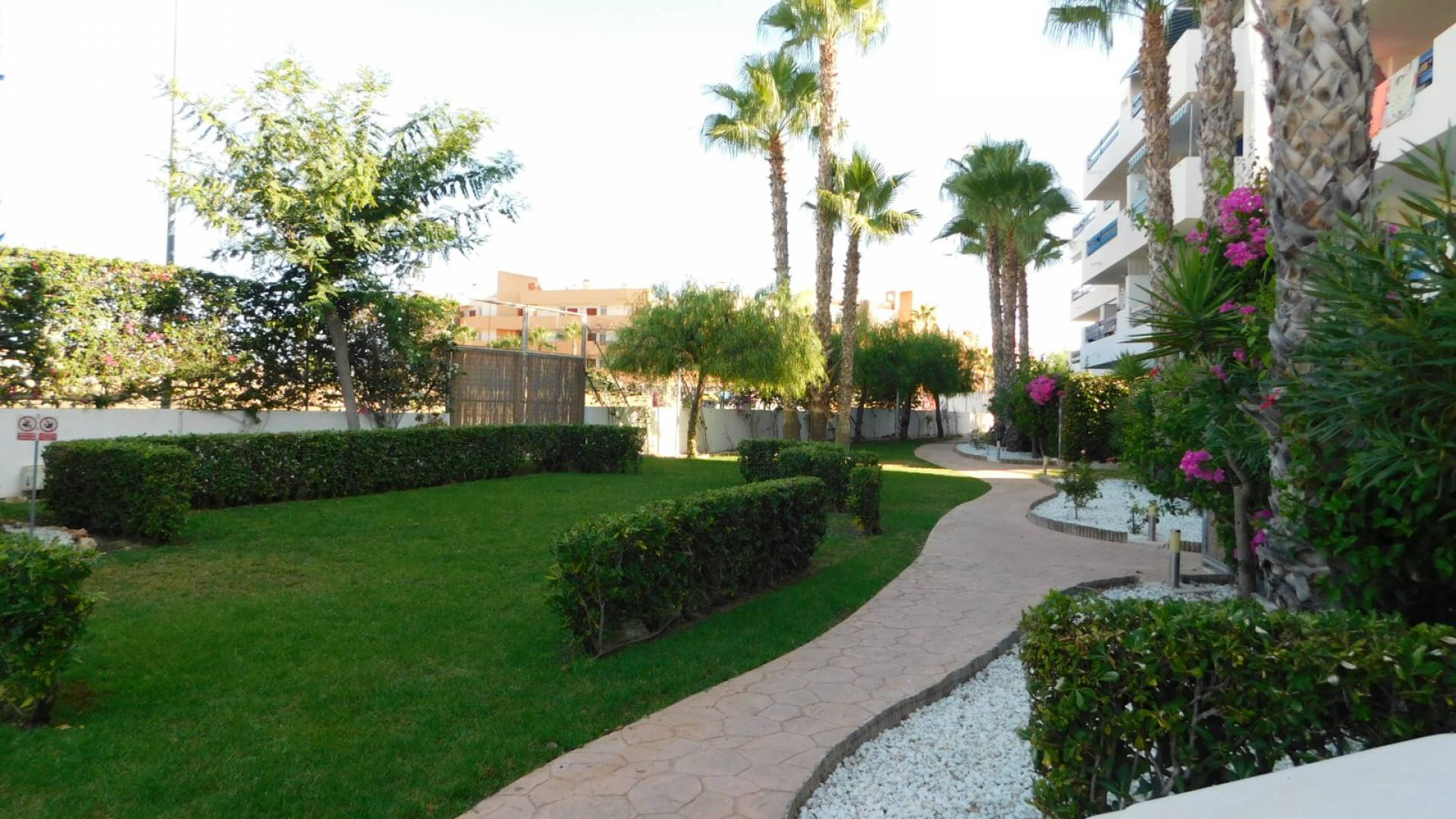 Resale - Apartment - Playa Flamenca - la calma