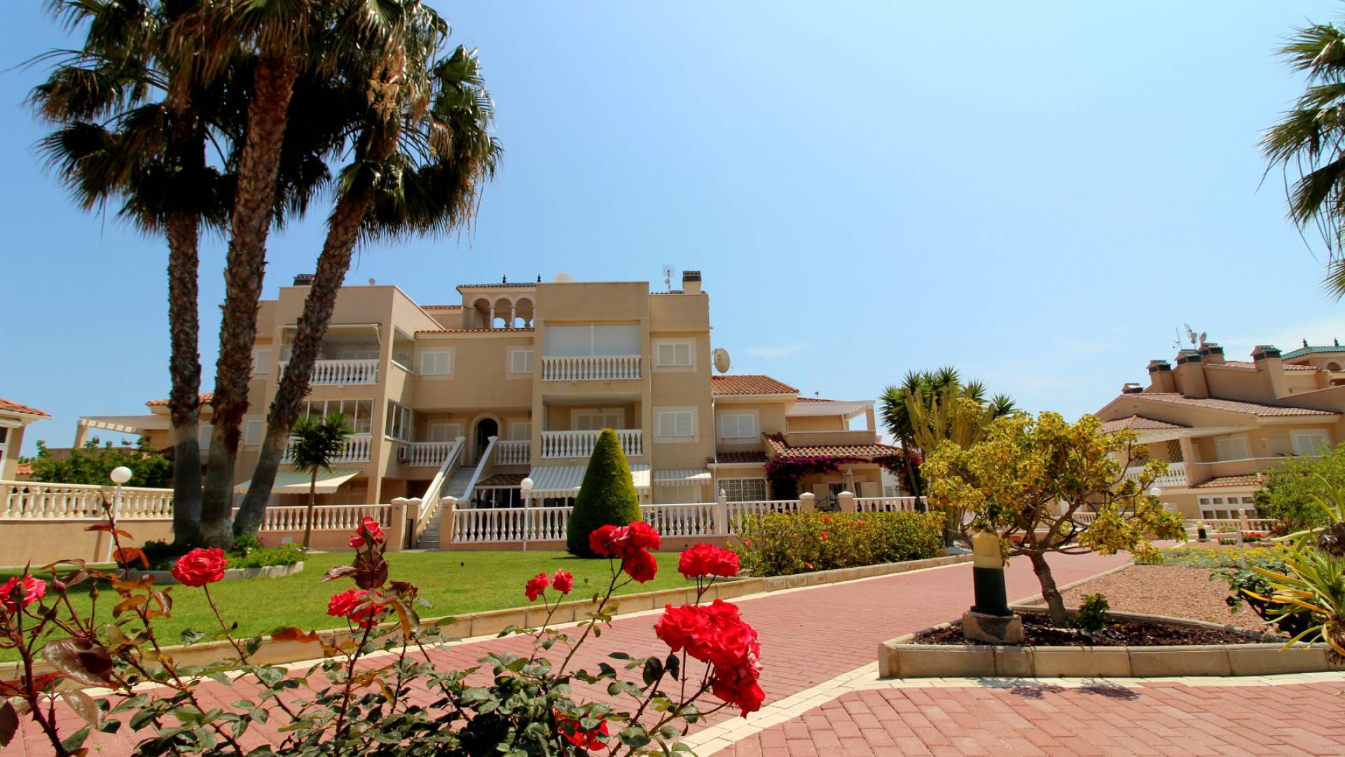 Resale - Apartment - Playa Flamenca - zeniamar