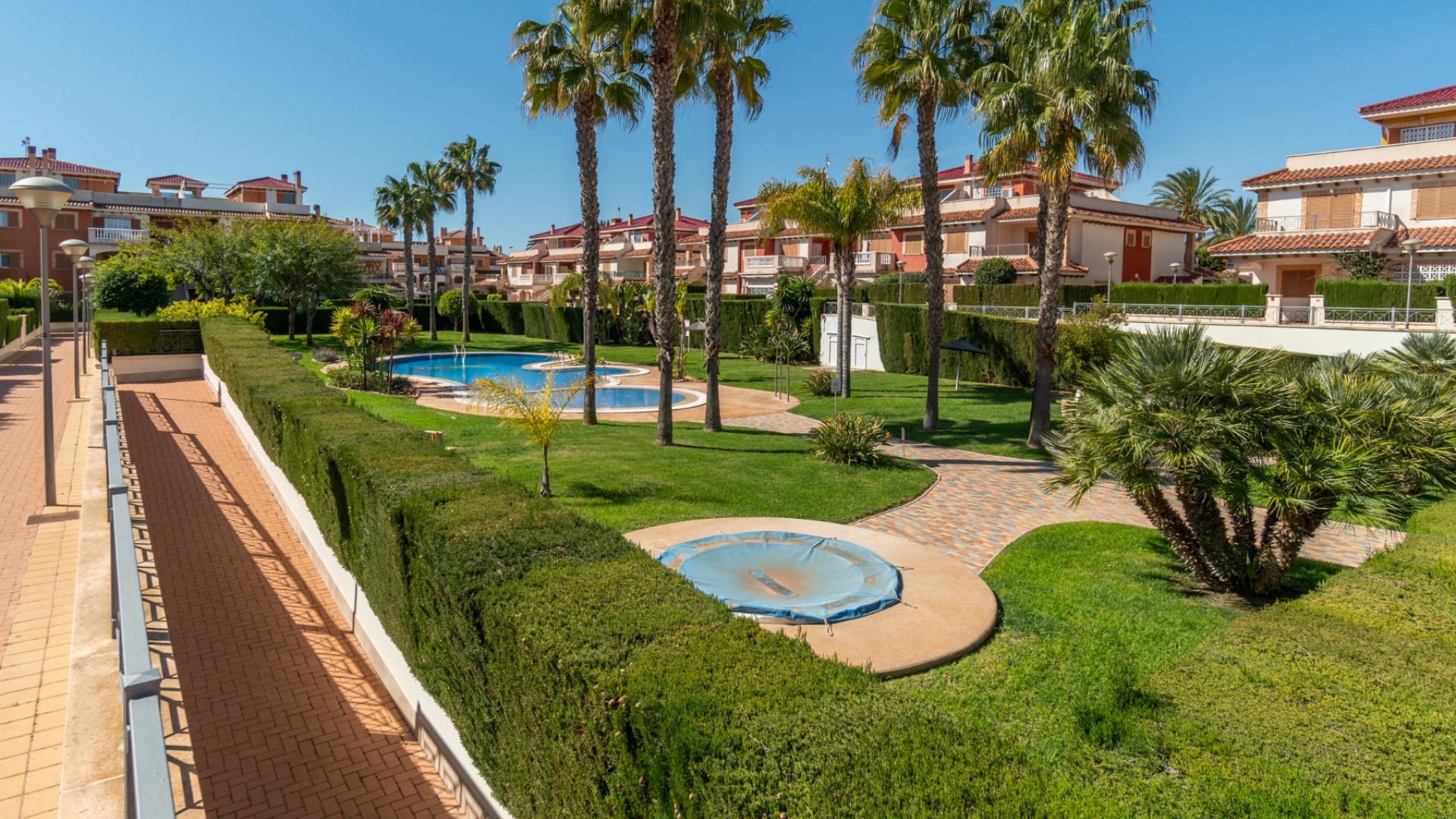 Resale - Apartment - Playa Flamenca - zeniamar