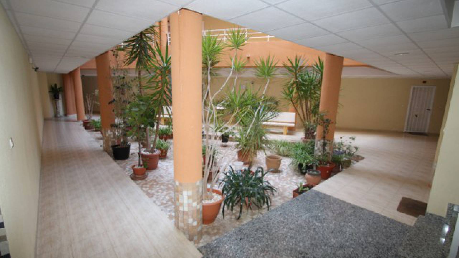 Resale - Apartment - San Miguel de Salinas