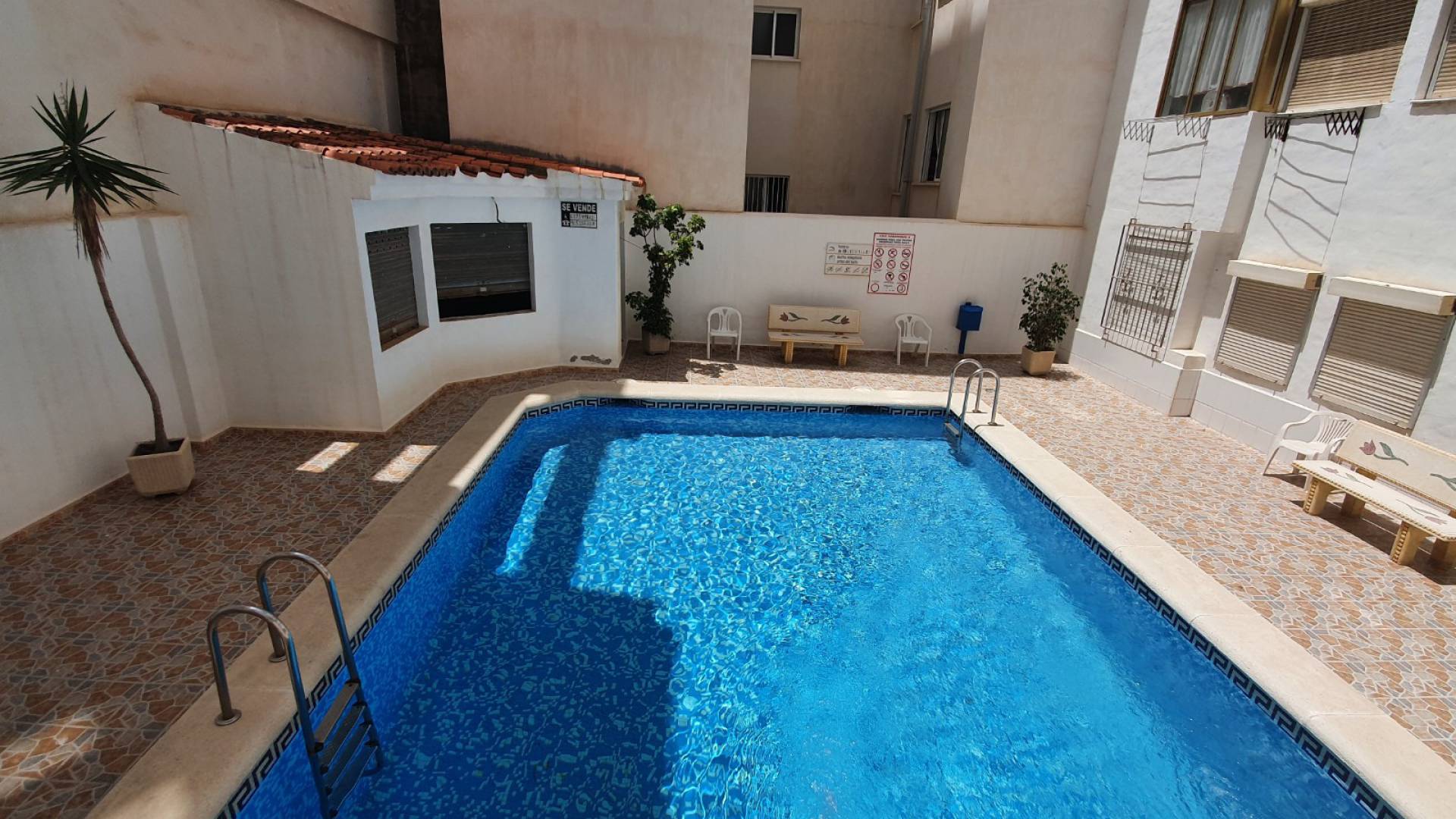 Resale - Apartment - Torrevieja - Beachside Torrevieja