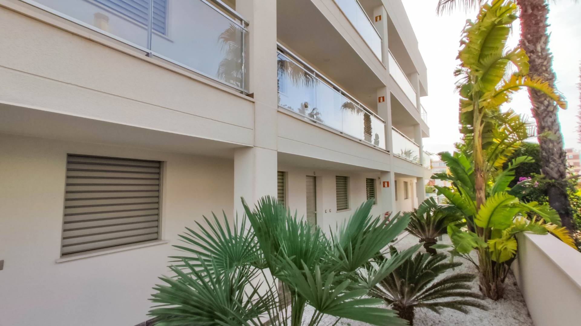 Resale - Apartment - Torrevieja - la veleta