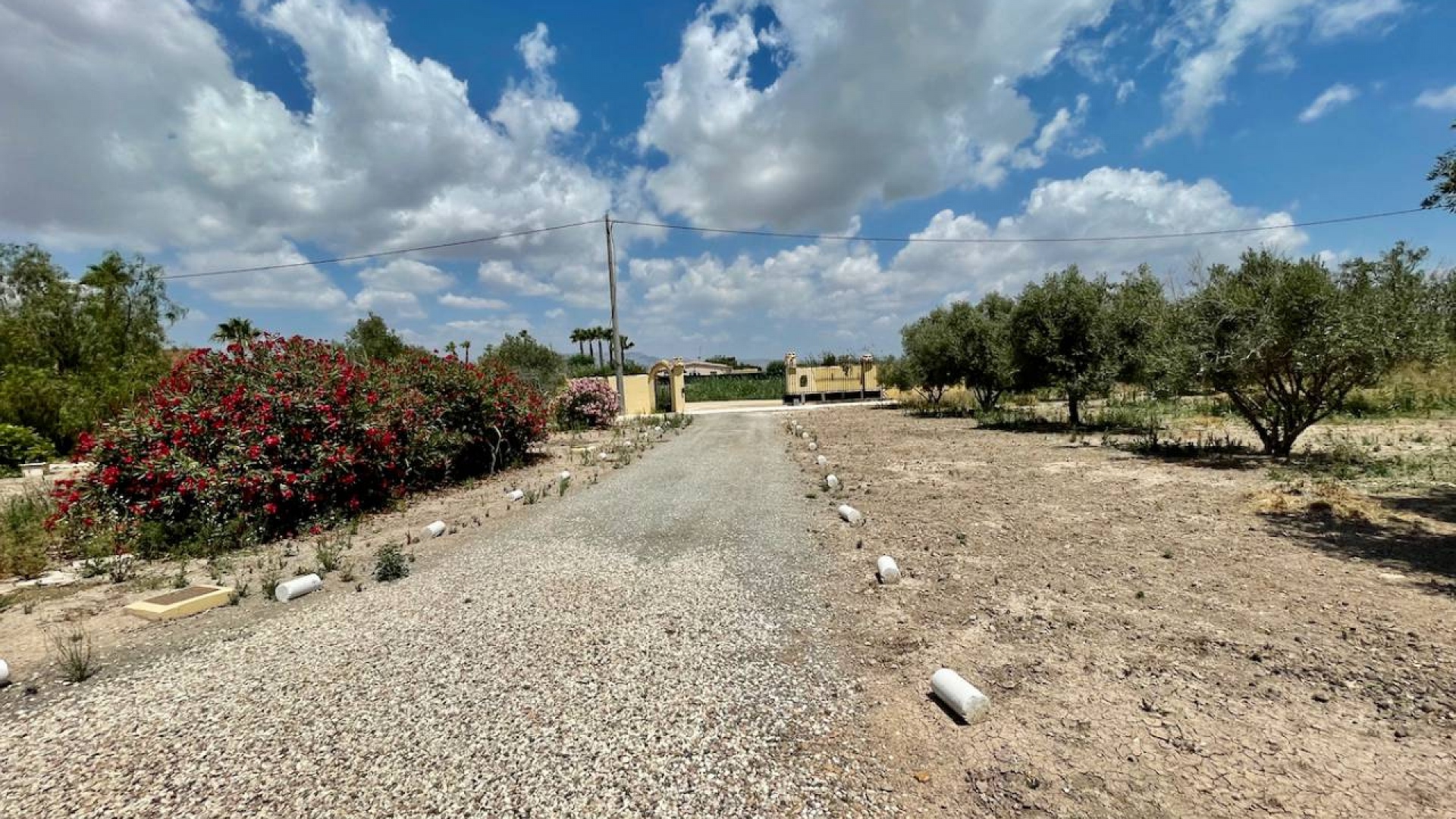 Resale - Country Property - Catral