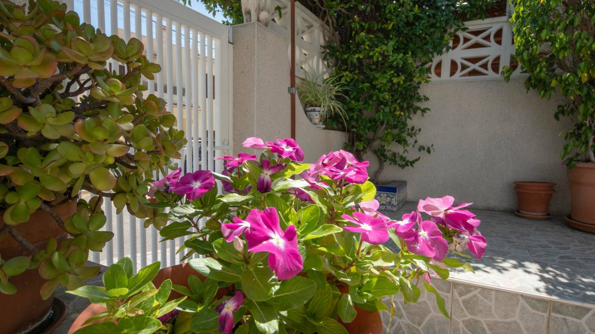 Resale - Townhouse - San Miguel de Salinas - balcon costa