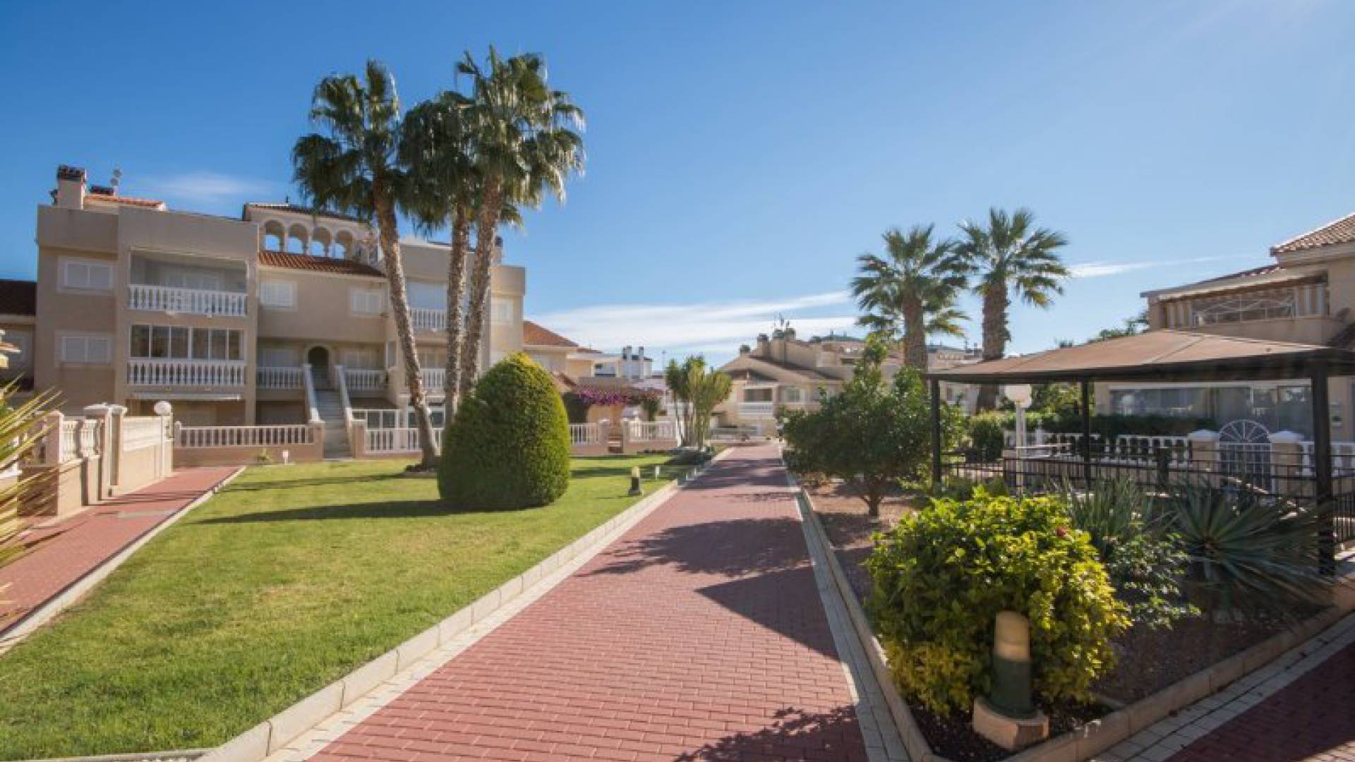 Revente - Appartement - Playa Flamenca - zeniamar