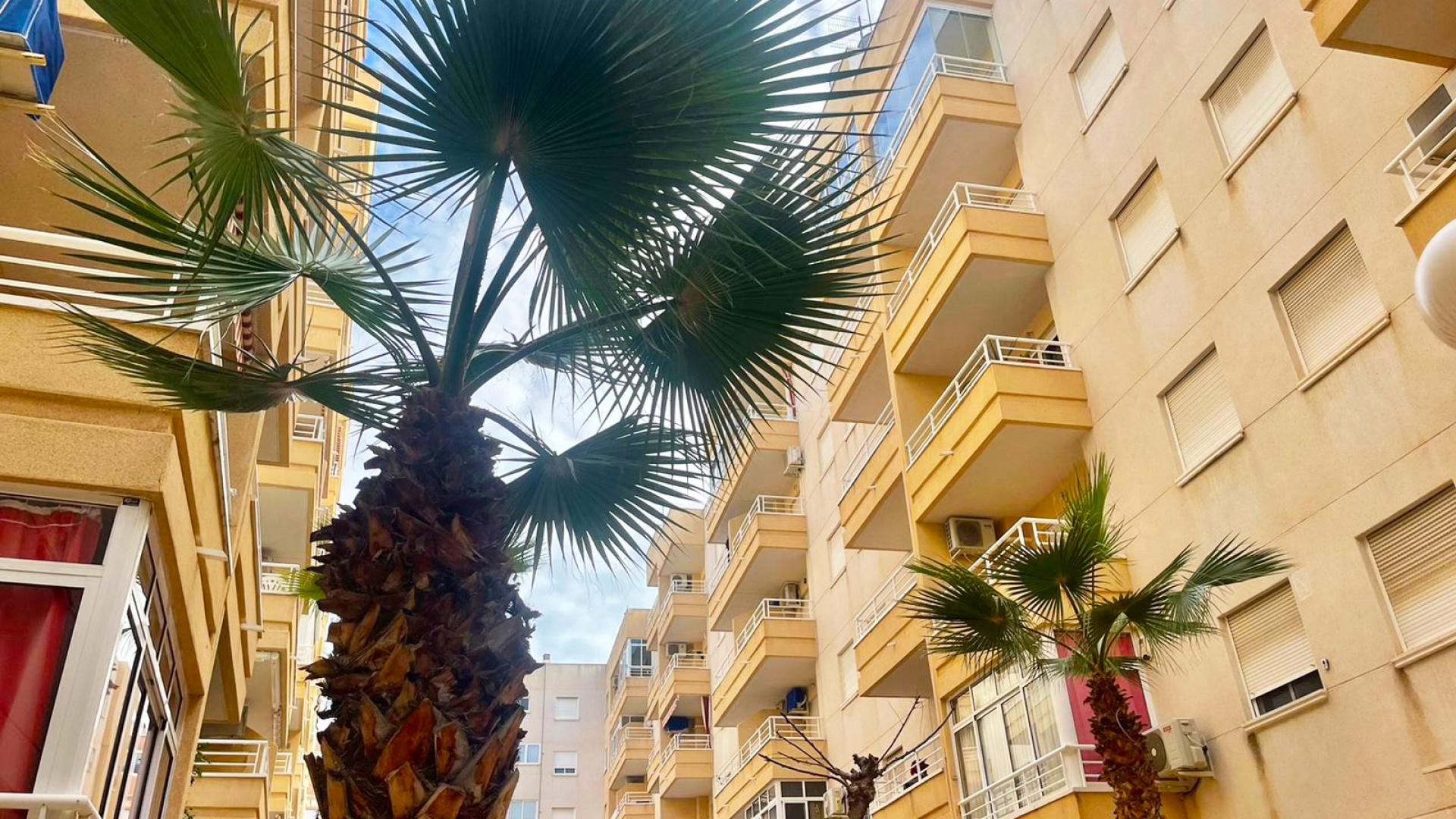 Revente - Appartement - Torrevieja - Beachside Torrevieja