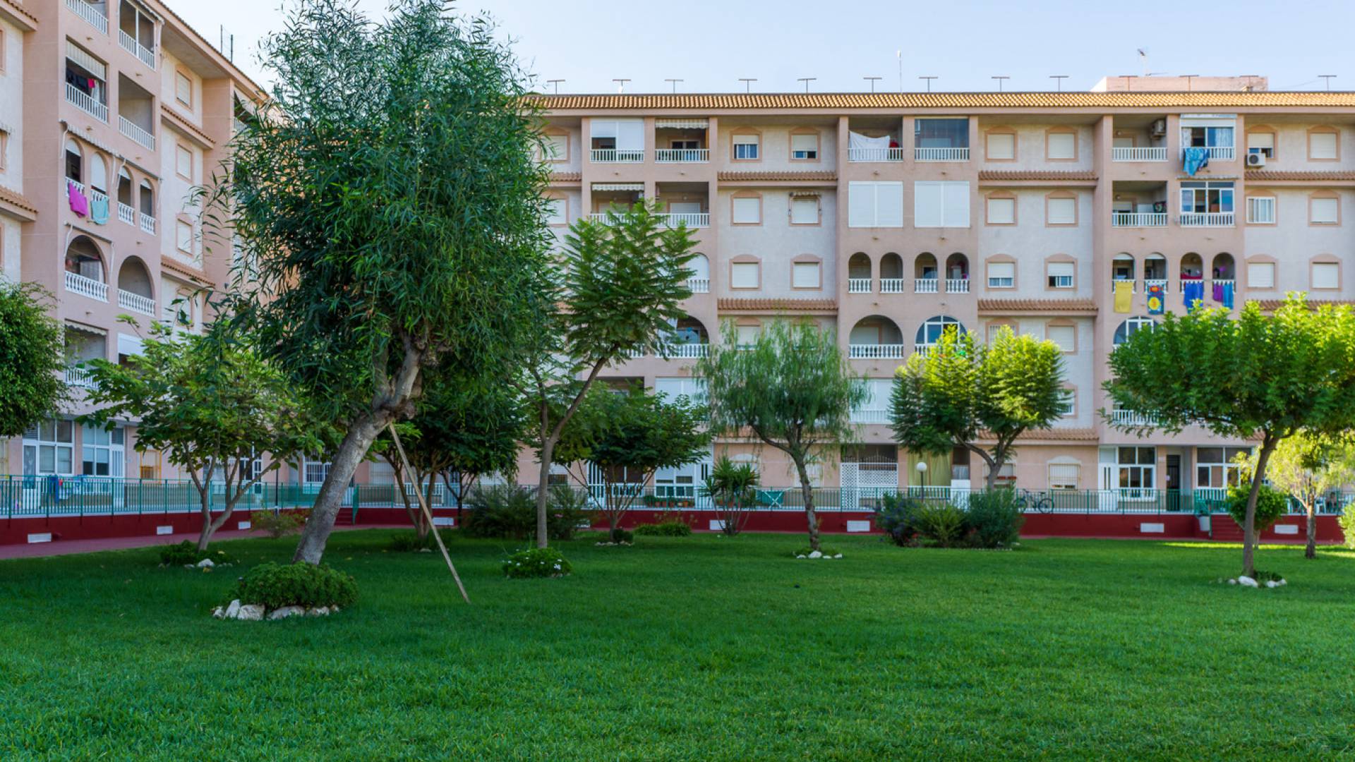 Revente - Appartement - Torrevieja - parque del naciones