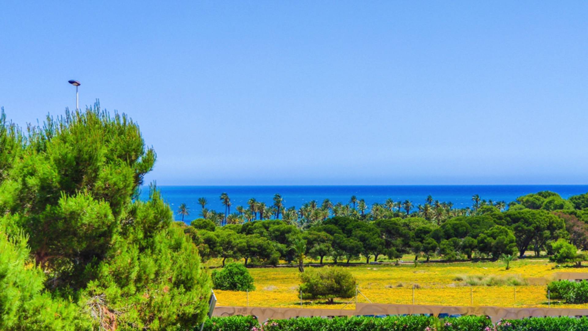 Revente - Maison de ville - Punta Prima - rocajuna