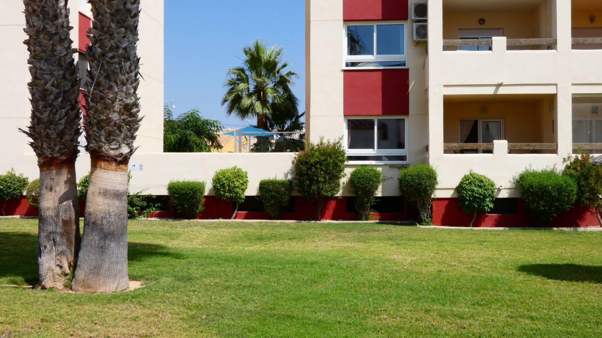 Wederverkoop - Appartement - Playa Flamenca - jumilla