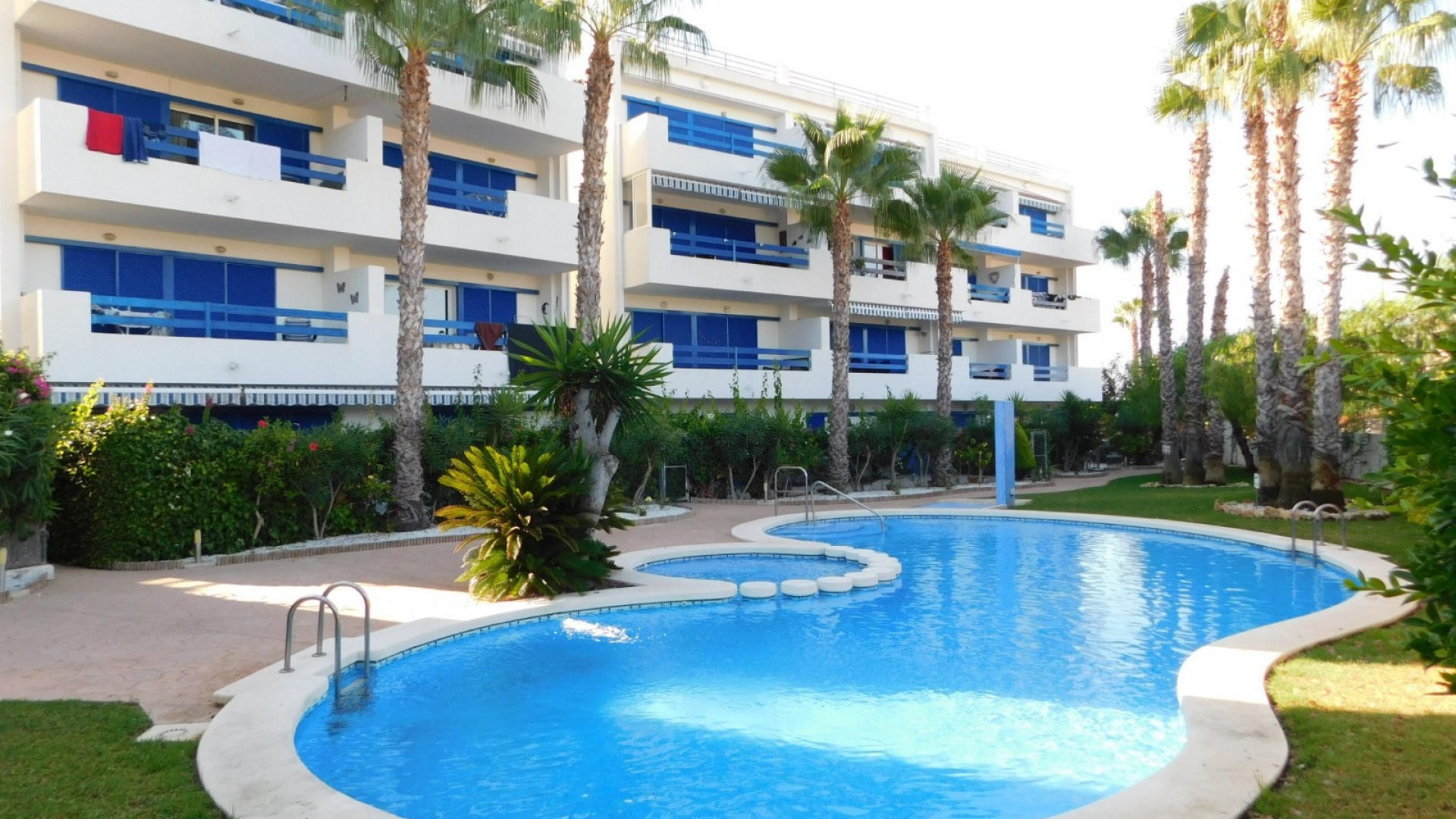 Wederverkoop - Appartement - Playa Flamenca - la calma