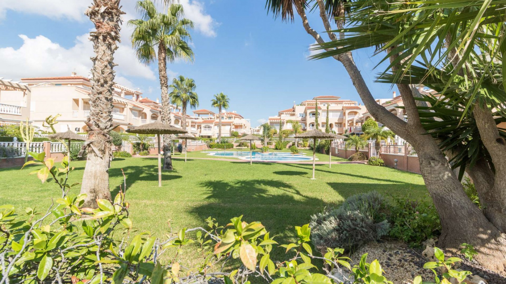 Wederverkoop - Appartement - Playa Flamenca - zeniamar