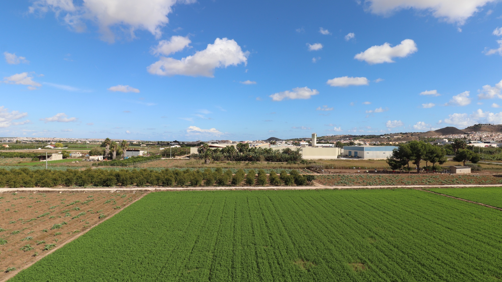 Wiederverkauf - Wohnung - Formentera del Segura - Formentera - Village