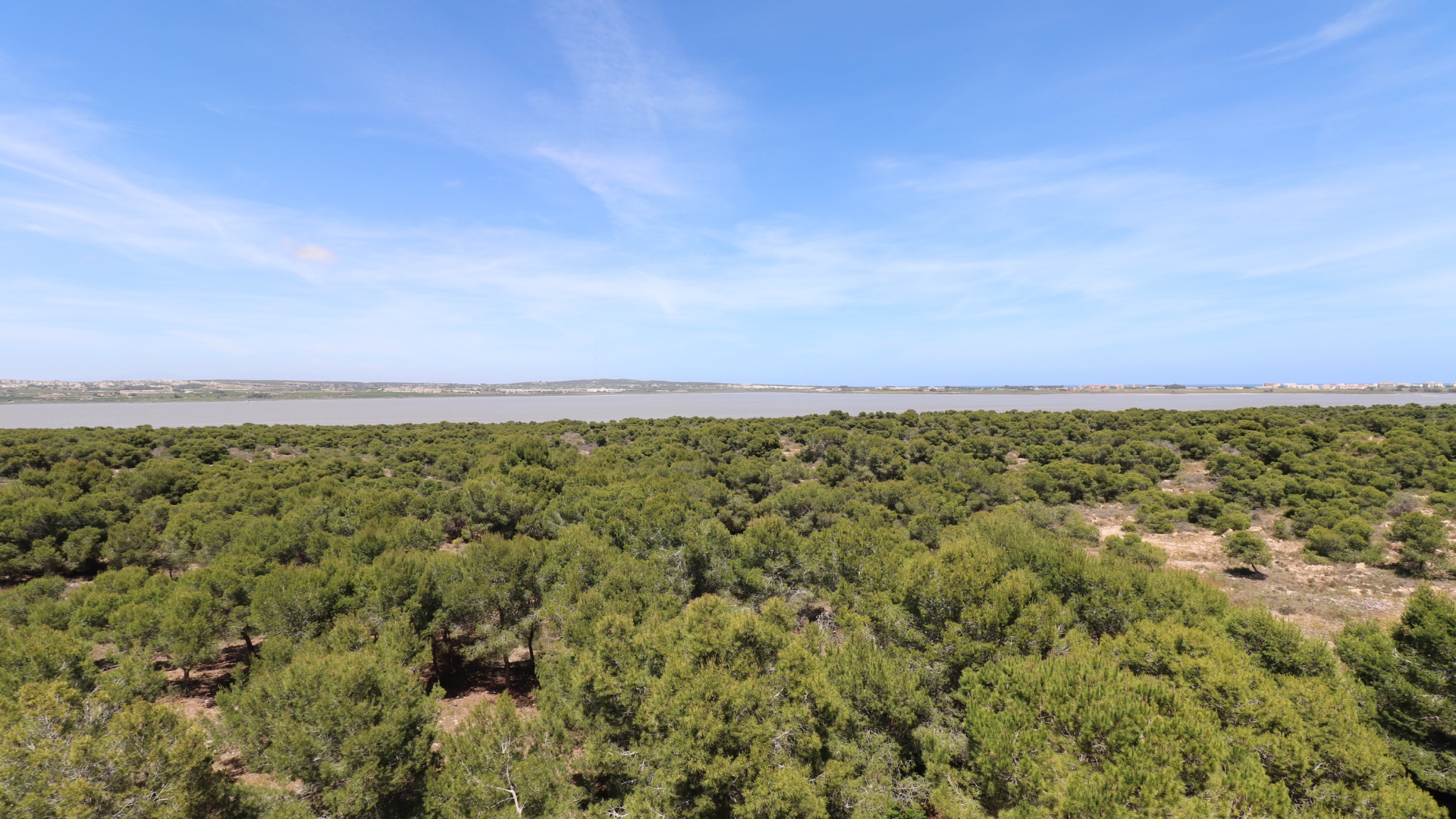 Wiederverkauf - Wohnung - Torrevieja - La Siesta