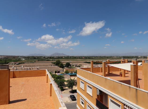 Resale - Apartment - Rojales - los palacios