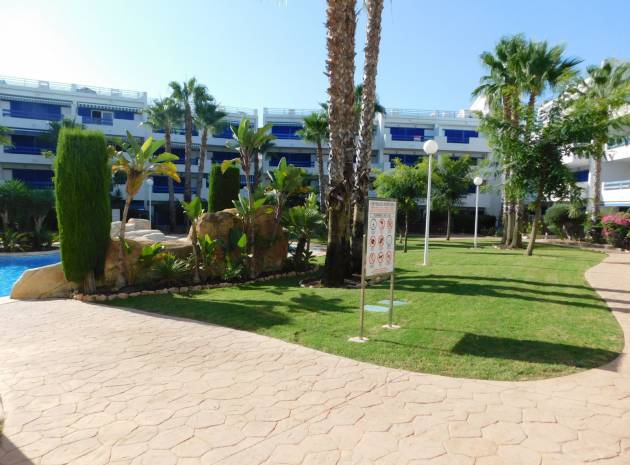 Wederverkoop - Appartement - Playa Flamenca - la calma