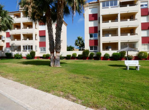 Resale - Apartment - Playa Flamenca - jumilla