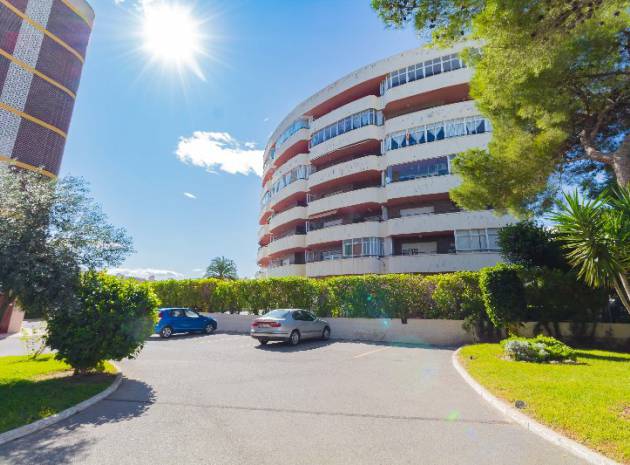 Wiederverkauf - Wohnung - La Zenia - beachside la zenia