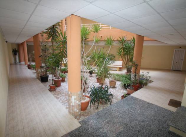 Resale - Apartment - San Miguel de Salinas