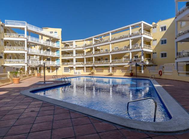 Wederverkoop - Appartement - Cabo Roig - aguamarina