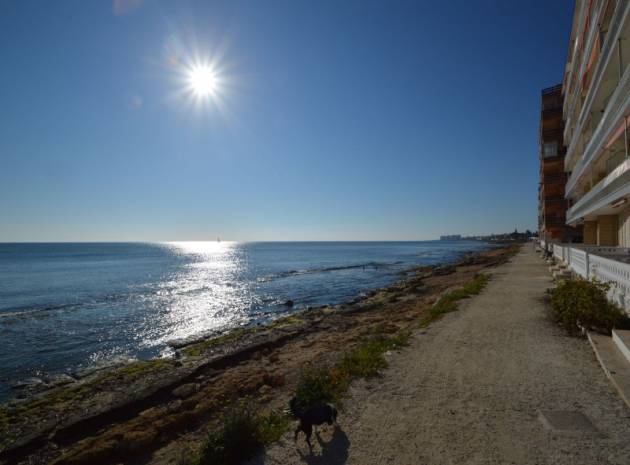 Wiederverkauf - Wohnung - Torrevieja - Beachside Torrevieja