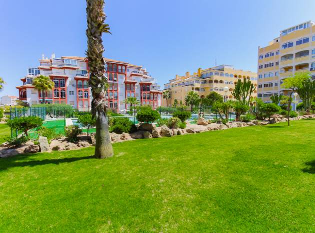 Wederverkoop - Appartement - Torrevieja - Aguas Nuevas