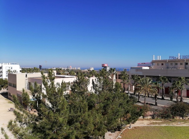 Wederverkoop - Appartement - Playa Flamenca - Res. Montilla