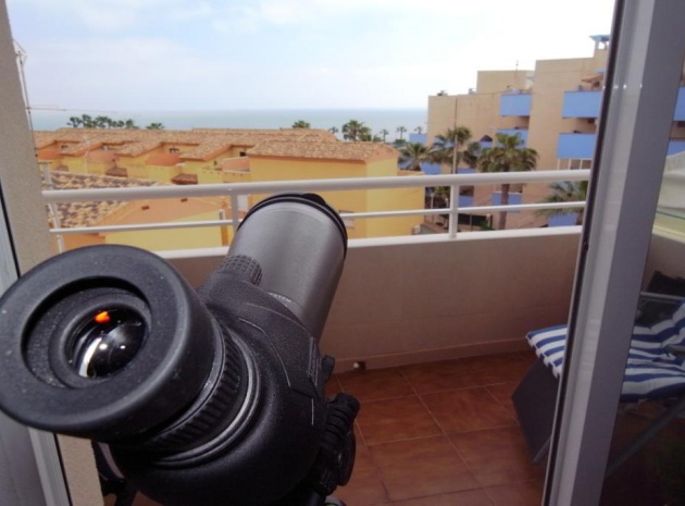 Wiederverkauf - Wohnung - Cabo Roig - beachside cabo roig