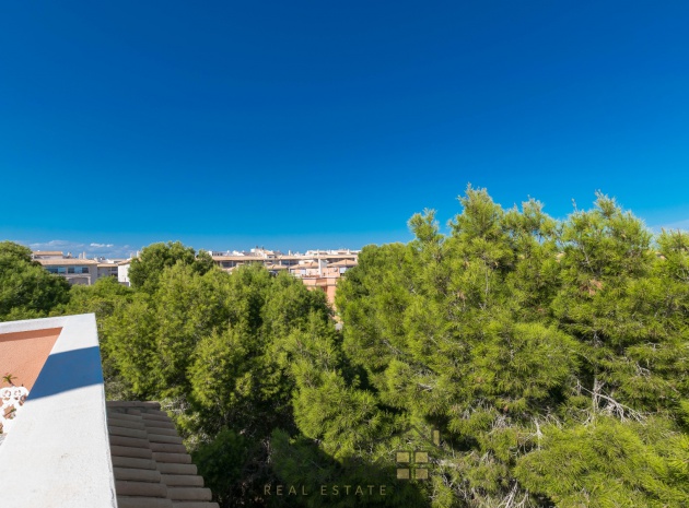 Wiederverkauf - Wohnung - Playa Flamenca - parque del duque