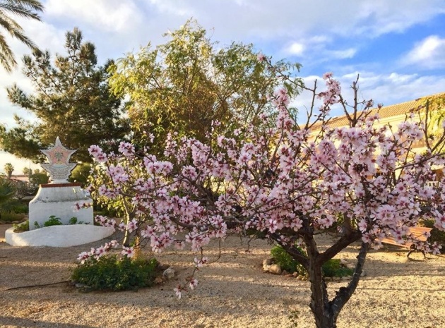 Nieuw gebouw - Villa - Los Urrutias - Estrella De Mar