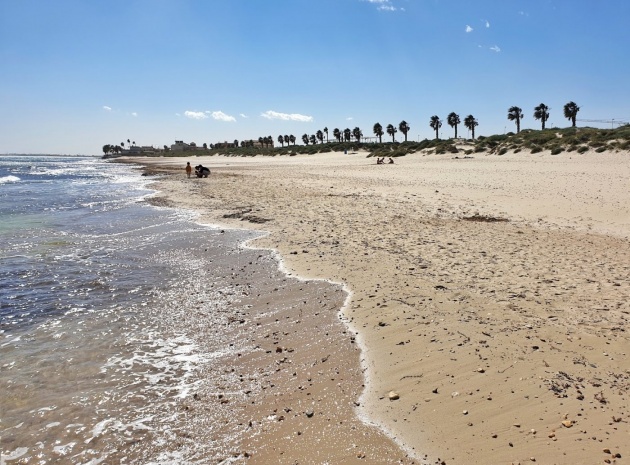 Nybyggnad - Lägenhet - Torre de la Horadada - Costa Blanca South