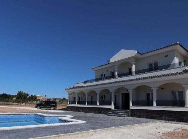 Nieuw gebouw - Villa - Pinoso - Camino Del Prado