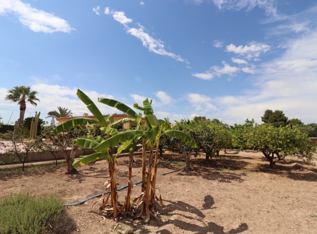 Wederverkoop - Country Property - Elche - Valverde