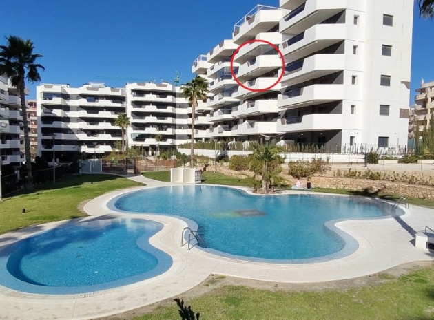 Revente - Appartement - Arenales Del Sol