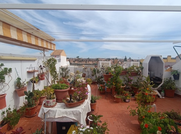 Wederverkoop - Appartement - Torrevieja