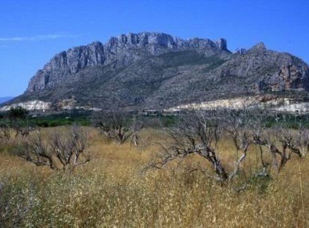 Nybyggnad - Lägenhet - El Verger - Zona De La Playa