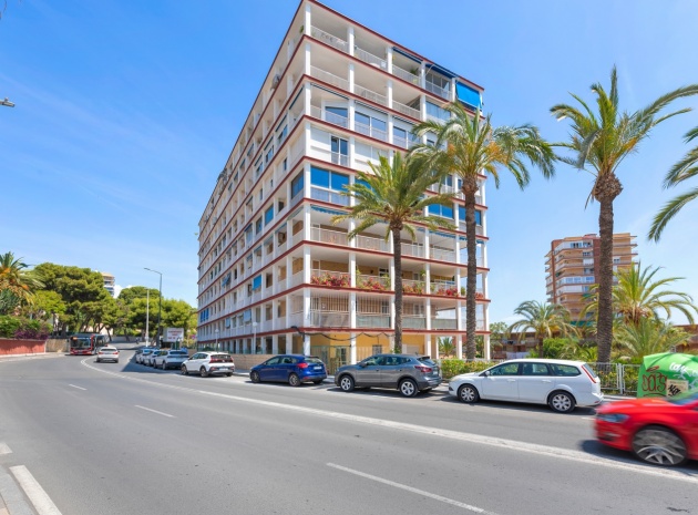 Apartment - Resale - Alicante - Alicante