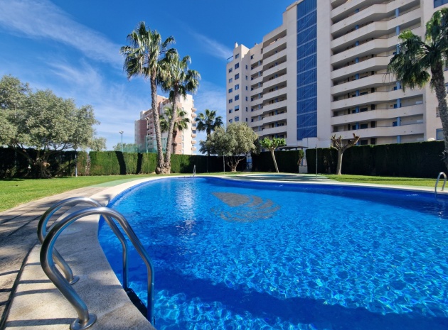 Apartment - Resale - Guardamar del Segura - CSP-22797