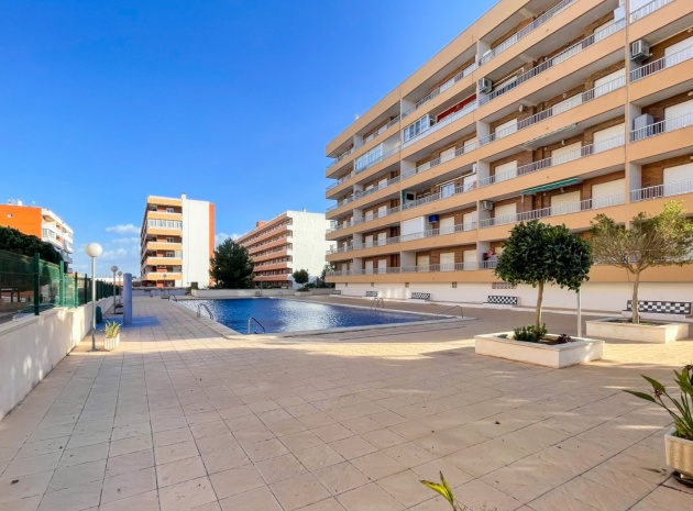 Apartment - Resale - Punta Prima - rocio del mar