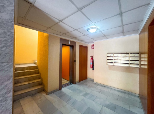 Apartment - Resale - Torrevieja - Torrevieja Centro