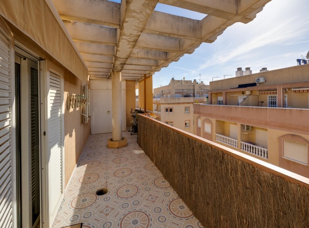 Apartment - Resale - Torrevieja - Torrevieja