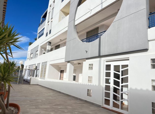 Apartment - Resale - Villamartin - ESMA-88574