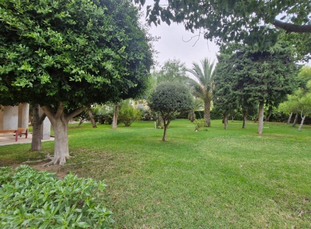 Appartement - Revente - Alicante - Alicante Centro