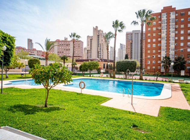Appartement - Revente - Benidorm - Benidorm Centro